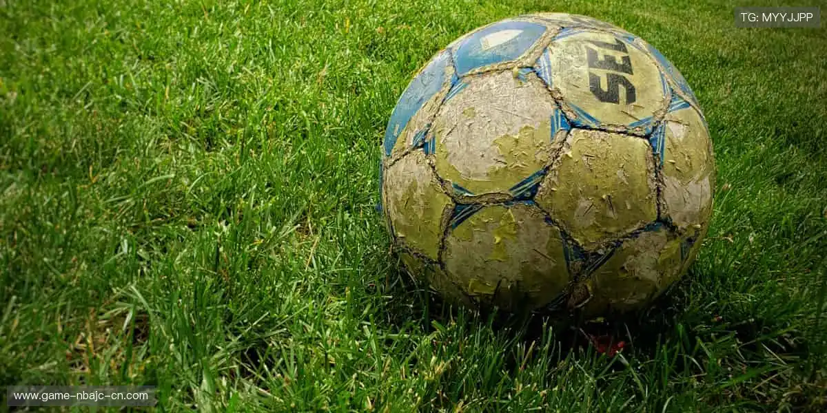 全能真人互动乐园：高清所有视讯热门，相伴巅峰对决